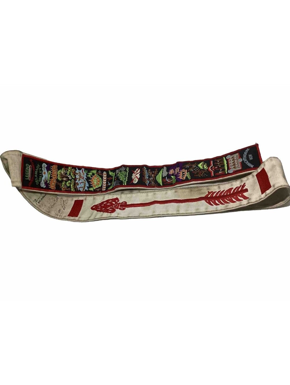 Cloth Brotherhood Order Of The Arrow Signed By 2011 Chief And Vice Chief